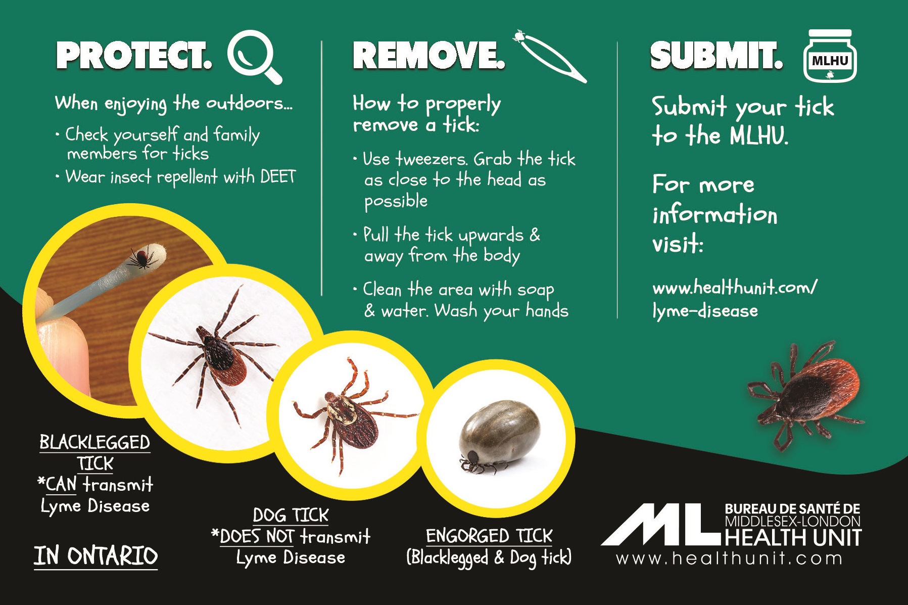 Ticks - Protect, Remove, Submit
